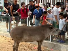 -西霞口神雕山野生动物世界