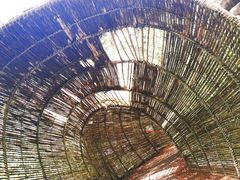 -北海金海湾红树林生态旅游区