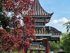 -顺峰山公园