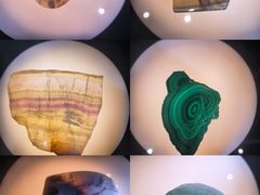 -陕西自然博物馆