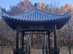 -长春市南湖公园