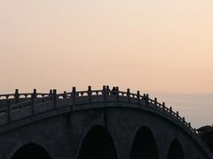 -万绿园