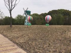 -同里国家湿地公园
