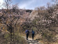 -阳台山自然风景区