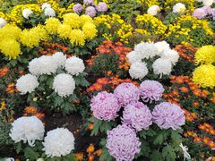 -国家植物园南园