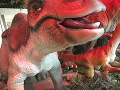 -中国地质大学逸夫博物馆