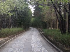 -蝴蝶泉公园