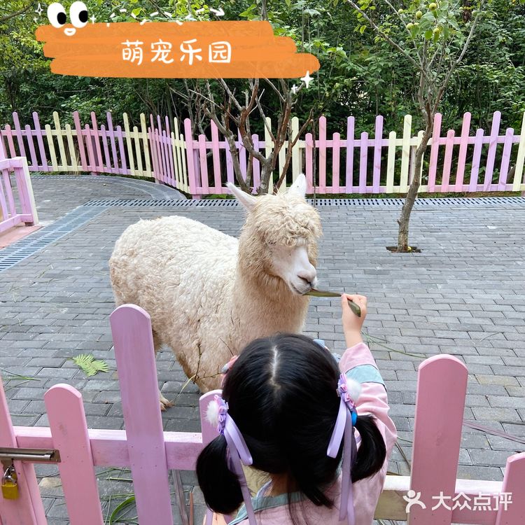 遛娃宝藏地-松鼠部落🐿️推荐!