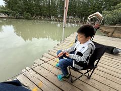 -乌村