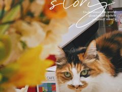 -玫瑰咖啡(中山六路店)