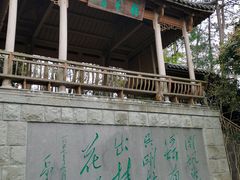 -千岛湖东南湖区