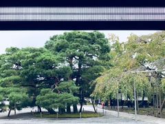 -醍醐寺