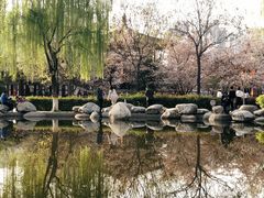 -西安青龙寺遗址景区