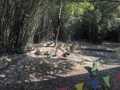 -宁波野生动物园