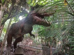 -呀路古热带植物园