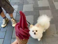 -喜茶(北京三里屯太古里店)