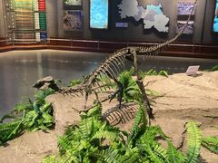 -自贡恐龙博物馆