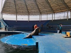 -西安华夏文旅水世界