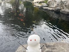 -中国唐苑