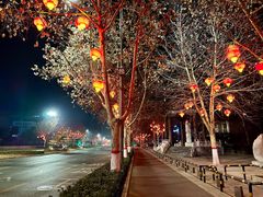 -曼哈顿商业广场(升龙广场店)