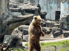 -宁波野生动物园