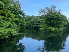 -济州森林小火车生态公园