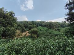 -缥缈峰景区