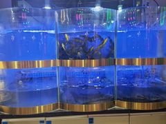 水产区-蛙一刀·麻椒鱼火锅(金仙桥店)
