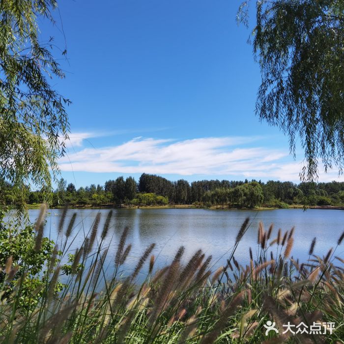东郊湿地公园图片