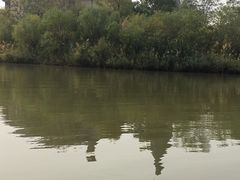 -武清南湖绿博园