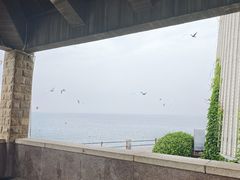 -悦海公园