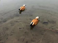-河北省园博园