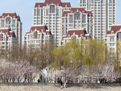 -桃花堤公园