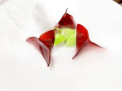 -觀芷隐轩