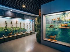 -下渚湖国家湿地公园科普馆