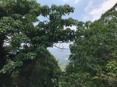 -火炉山森林公园