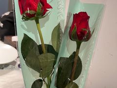 -四季民福烤鸭店(故宫店)