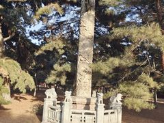 -北陵公园