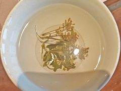 -田小狗的饭店(碧桂园店)