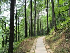 -莫干山风景区