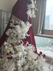 -ST时柒·问题肌抗衰美颜所