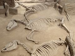 -洛阳周王城天子驾六博物馆