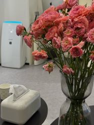 -JNK皮肤管理中心