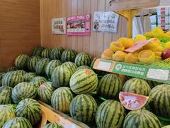 -百果园PAGODA(国贸2店)