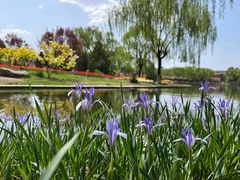 -石家庄市植物园