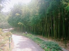 -荆川公园