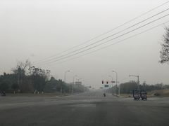 -乐山食古香跷脚牛肉