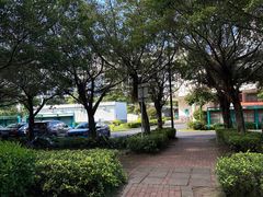 -顺德职业技术大学