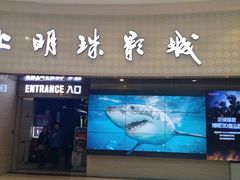 -AMG海上明珠影城(上海环球港RealDCinema店)