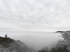 -大围山国家森林公园